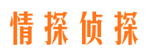 武功外遇调查取证